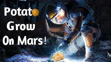Can Potatoes Grow on Mars? 🥔 | #Shorts By FACTS MASTER