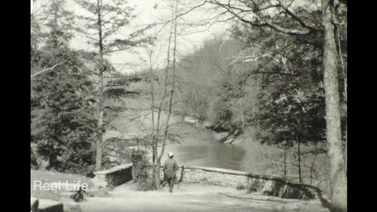1959, Mystery reel! Viewpoint and forested park, possibly Turkey Run