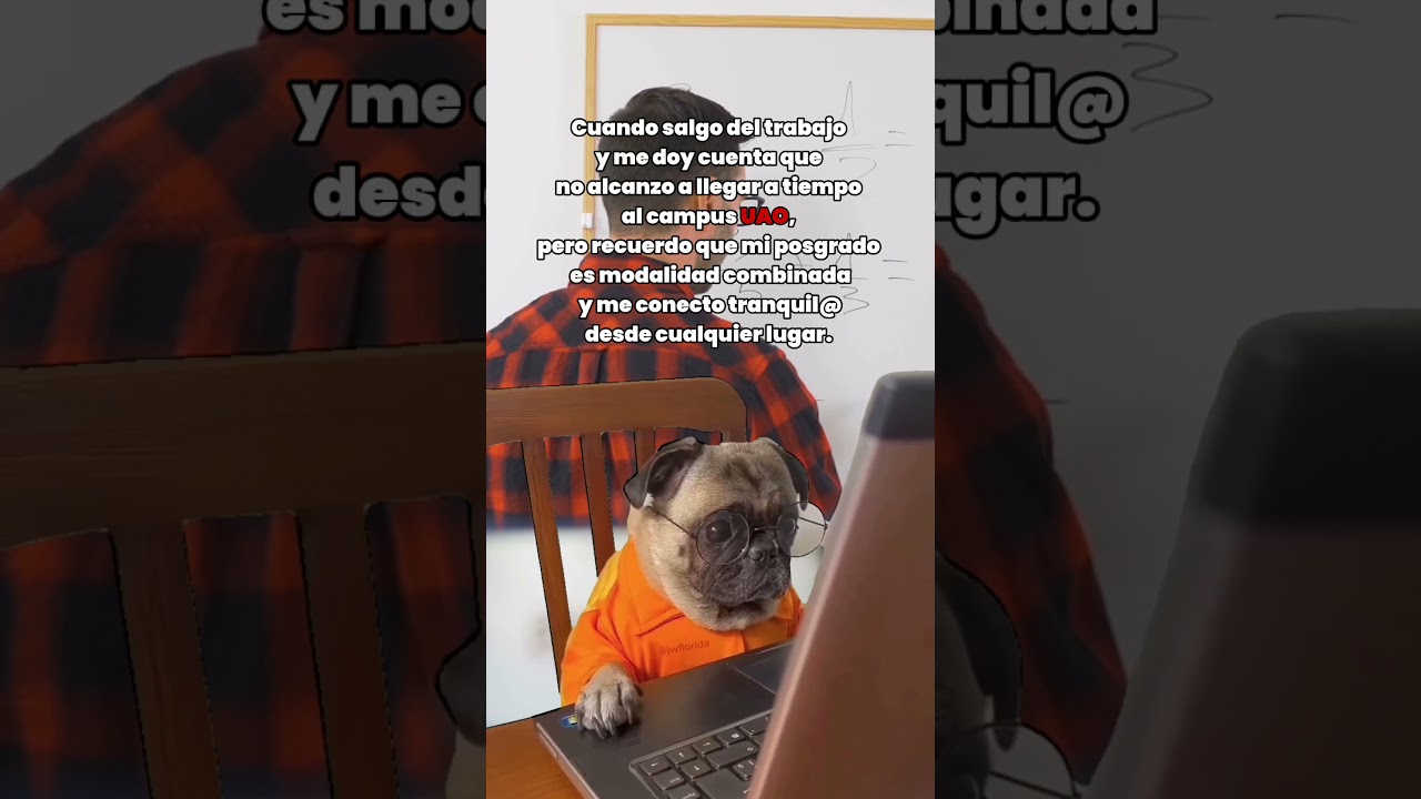 ¡Aprende con la libertad que te brinda la UAO con sus modalidades de estudio! 🚀