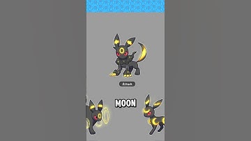 NEW FORMS for the EEVEELUTIONS!?