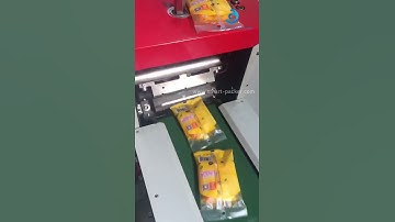 Big in bag pillow type horizontal type filling sealing machine with hole  punching function