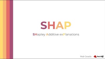 Shapley Additive Explanations (SHAP)