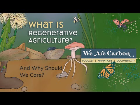 What is Regenerative Agriculture? And Why Should We Care??