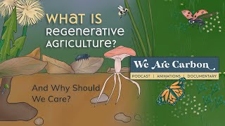 What is Regenerative Agriculture? And Why Should We Care??