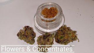 Zruntz and Durban Nights Concentrates
