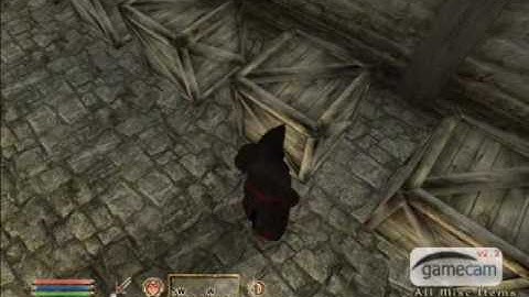 OBLIVION VAMPIRE CURE FOR PC ##1MIN READY##