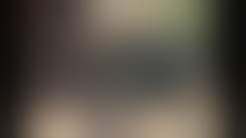 Bujinkan Ninjutsu, 9th Kyu, part 16 - archery, plate deflecting, sword leaping