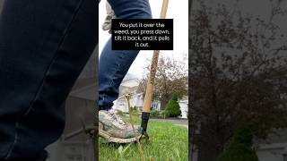 Grampas Weeder Is So Theutic Not Sponsored.