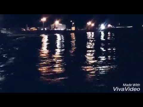 احلام ورديه