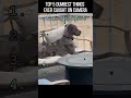Dramatic Dogs #funny #funnyvideo #dogvideos  #fyp #foryou #dog  #video