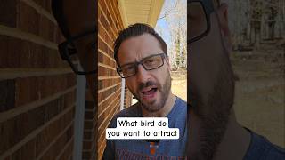 Can't attract this bird species #backyardbirding