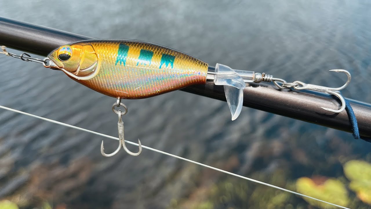 爆口 水面系 单叶螺旋桨 刺激 鲈钓 Explosive strikes with topwater single-blade ...