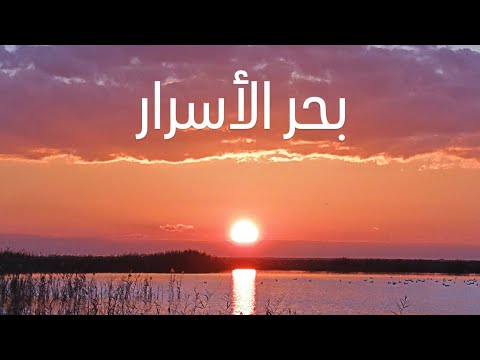 الفيلم الوثائقي بحر الاسرار ومرسى سفينة الكون 