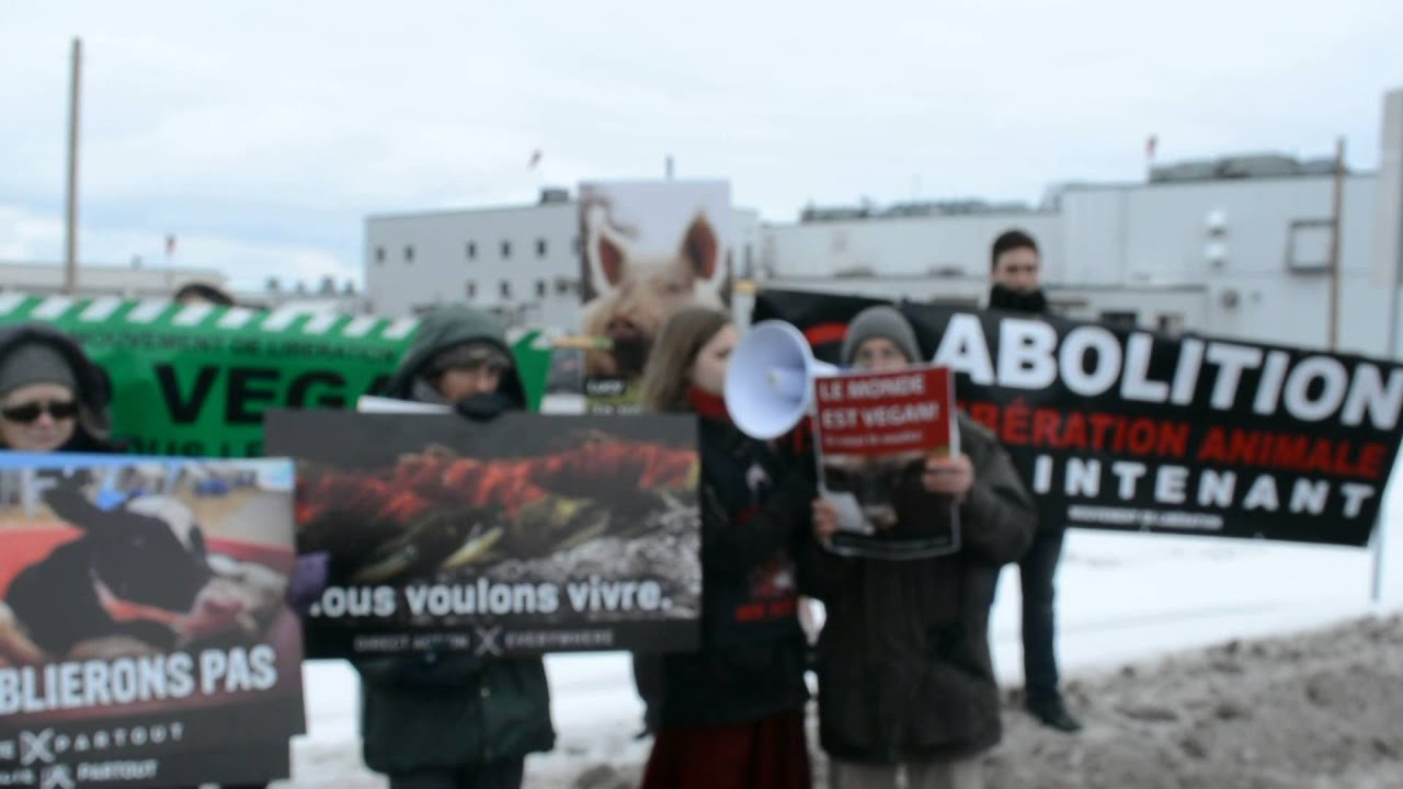 Action végane antispéciste,abattoir Olymel,St Esprit,QC,4 Février 2016