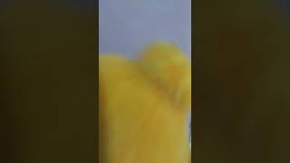 25 De Janeiro De 2022