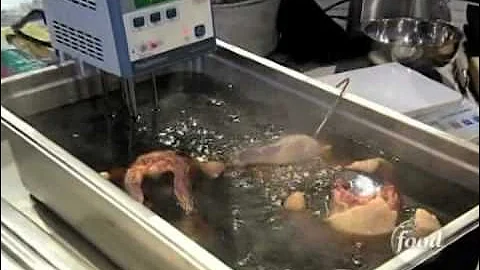 Alexandra Guarnaschelli Uses PolyScience Thermal Circulators On Iron Chef America