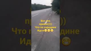 природа не знает границ)))#видео#жизнь#природа#дорога#прогулка#отдых