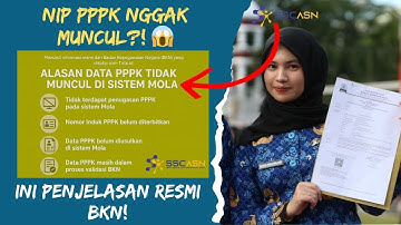NIP PPPK Paruh Waktu Tidak Muncul di Mola BKN? Ini Solusinya!