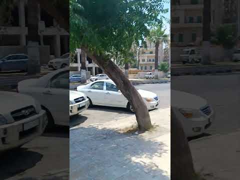 فيديو 262 شوارع اللاذقية الكورنيش الغربي سوريا سورية    2023