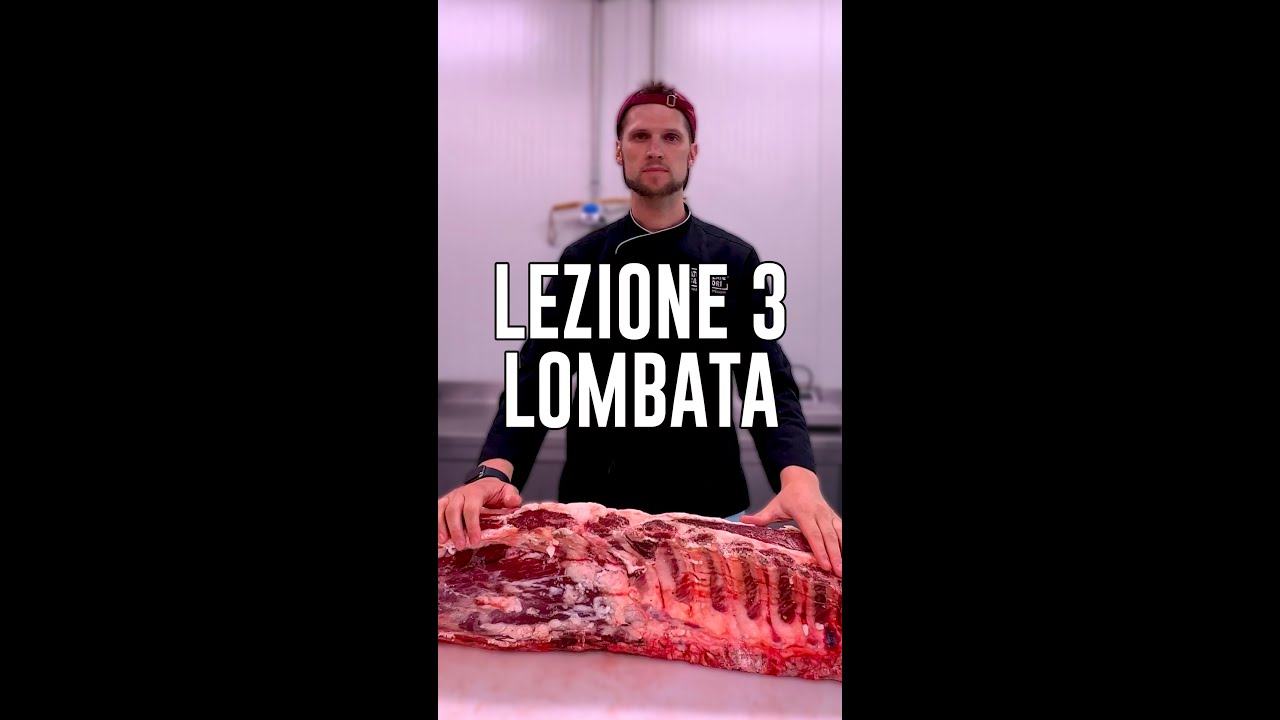 Lezione 3 Lombata