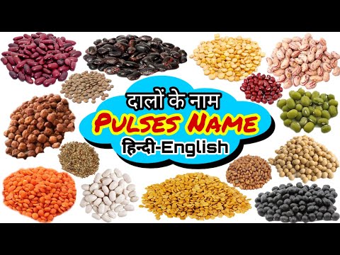 Pulses Name in English and Hindi / सभी दालों / #Pulses #Lentils / Gram / Pea /