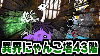 【にゃんこ】 mqdefault.jpg