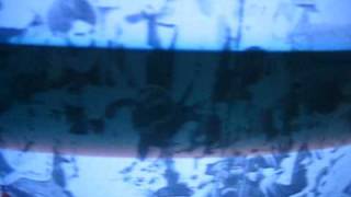 Wegayehu Negatu On Etv2