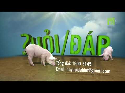 Khắc phục gà nhiễm ký sinh trùng và nấm đường tiêu hóa | Hỏi đáp trong ngày 08/12/2020 | VTC16