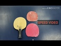 Sticking Joola ZeLeBRO PBO-C with Rozena and Evolution MX-P (ไม้จั่นเจา) | PingpongThaibaan