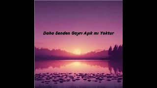 Daha Senden Gayrı Aşık Mı Yoktur Turkish Anatolian Rock