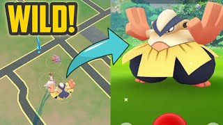 Op Wild Hariyama Appear Pokémon Go
