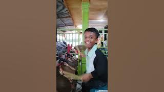 skill Taganing ALEX PION from Sidikalang,,Luar biasa