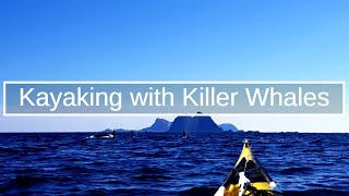 Kayaking with Orca, Killer Whales, in Lofoten, Norway