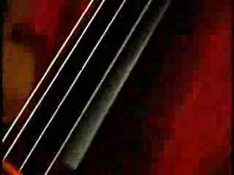 Libertango (Piazzolla) De puro guapos