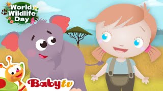 wild animals for kids elephants cheetah monkeys world wildlife day babytv