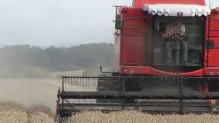 MASSEY FERGUSON ACTIVA  MF Farhad Ali