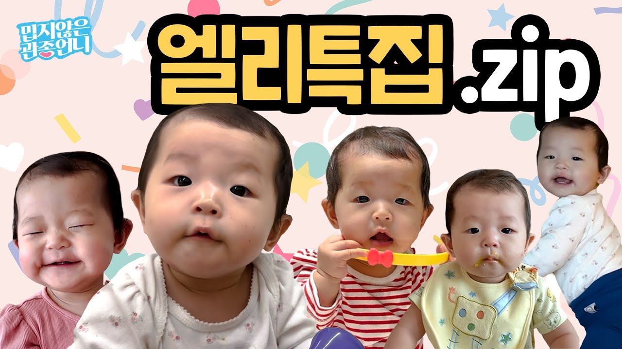 관심이들 집중! 밉지않은 관종언니의 새 식구, 귀여운 엘리 영상 모음집 대공개 🥰 [밉지않은 관종언니]