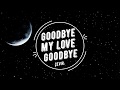 Demis Roussos - Goodbye My Love Goodbye Türkçe çeviri