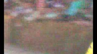 Video0051.3gp