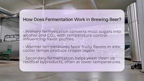 How Does Fermentation Work in Brewing Beer? - The Pint Guy