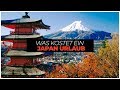 Was KOSTET ein JAPAN URLAUB?