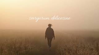 Seviyorum Delicesine - Hip - Hop Cover