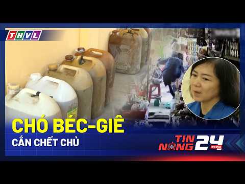 Chó béc-giê cắn chết chủ | Giật rổ tiền cụ bà | Ổ dịch thủy đậu | TIN NÓNG 03/4/2026