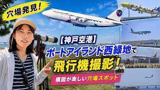 【神戸空港】撮れ高抜群の穴場スポット！？ ポートアイランド西緑地で飛行機撮影📸✈️