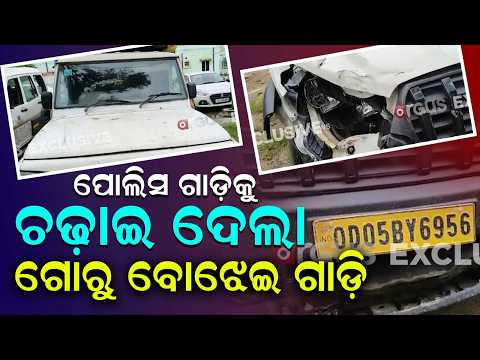 Cattle Smugglers Ram Truck Into Police Van In Boudh Kantamal | Narrow Escape For Cops | Argus News