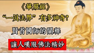 《華嚴經》“一真法界”有多神奇？賢首國師的闡釋，讓人嘆服佛法精妙。#佛教 #佛家 #佛法 #佛學知識 #佛學智慧 #修心修行 #佛教文化 #禪悟人生 #傳統文化
