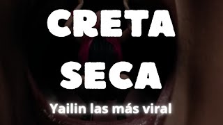 Creta seca - Yailin la más viral (doble tono) letra Lyrics 