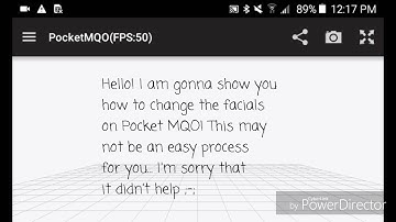 How To Change The Facials on Pocket MQO