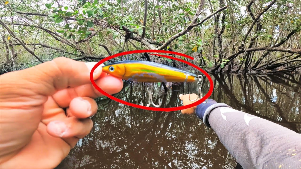 🚨 No meio da galhada, os ROBALOS ficam malucos com essa nova cor de ISCA! 🔥