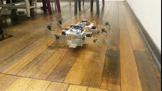 Hexapod Stand Up With Two Modules